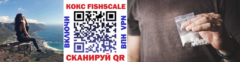 как найти закладки  Волгореченск  Cocaine Fish Scale 