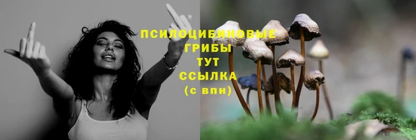Альфа ПВП Алексин