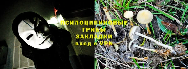прущие грибы Армянск