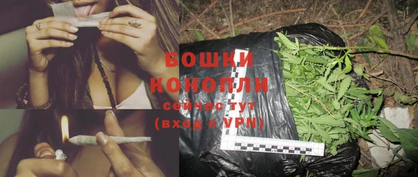 шишки Сафоново