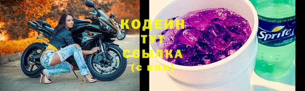 твердый Сатка