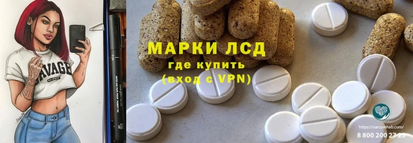прущие грибы Армянск