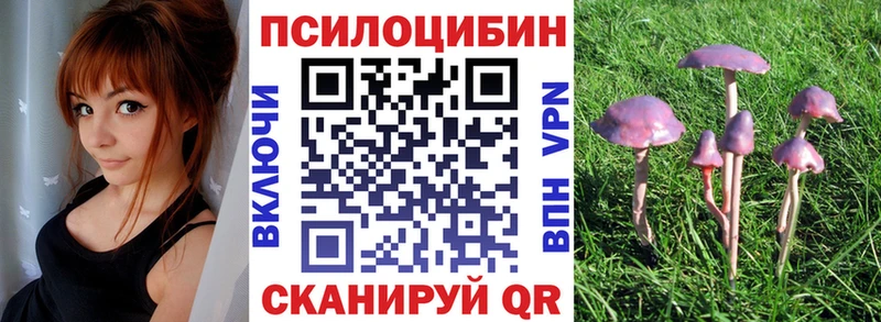 Галлюциногенные грибы мухоморы  где найти   Волгореченск 